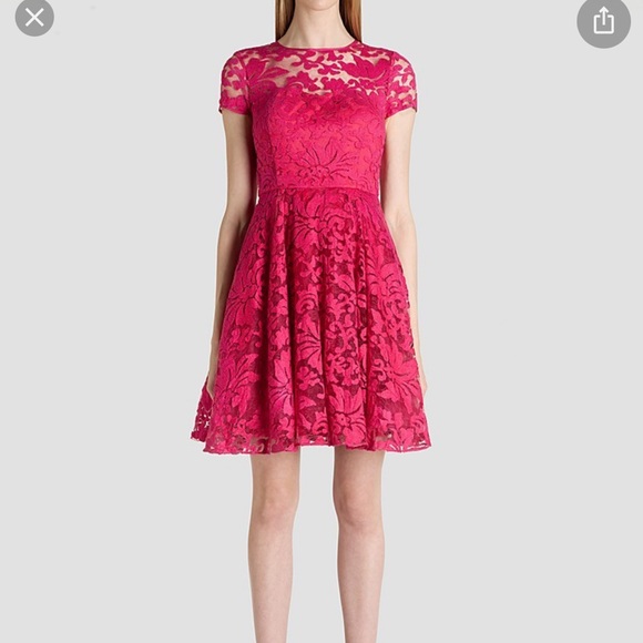 Ted baker skater lace dress - Picture 4 of 4